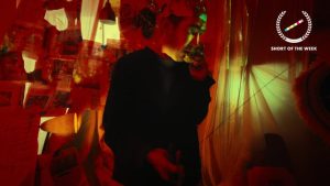 HOBBY - an Adobe Pocket Film