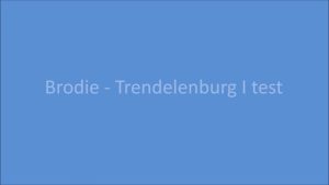 Fig 7.17 Brodie - Trendelenburg I test 02.mp4