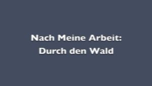 Morning Commute- Durch den Wald (1).m4v