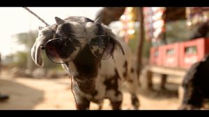 IndiaMART.com - Bakra TVC