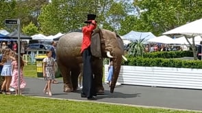 Eesha Elephant & Gemma Giraffe Stakes Day 2022 smaller version