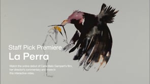 La Perra