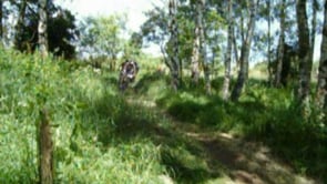 Chodovský bajk 2008 - sjezdová zatáčka