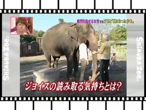 像のランディ【涙腺崩壊】