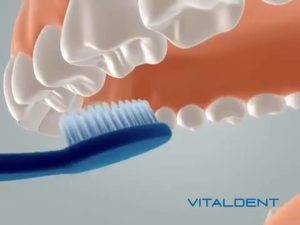 Vitaldent León: así debes cepillarte los dientes