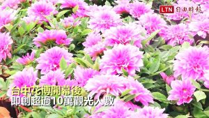 萌犬變猛犬 最Q警犬台中花博出任務