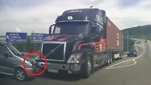 Conductores con Super Reflejos Evitando Accidentes