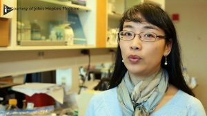 Des scientifiques établissent un lien entre le virus Zika et la microcéphalie du foetus