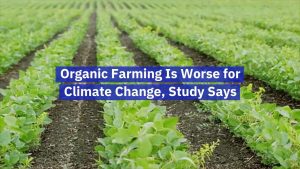 The Facts On Organic Farming