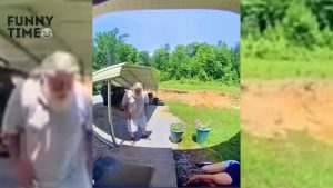 TRY NOT TO LAUGH - Compilation of the Best Funny Videos #funny #fails #laugh