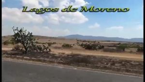 Lagos de Moreno, Jalisco