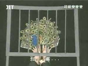 39回14番 孔雀