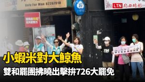 小蝦米對大鯨魚 雙和罷團拂曉出擊拚726大罷免