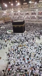 Perform Umrah