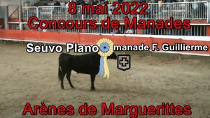 2022 05 08 Seuvo Plano