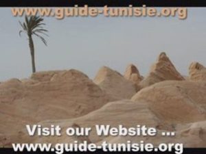 guide tunisie