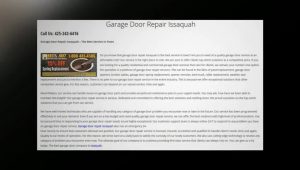 garage door service