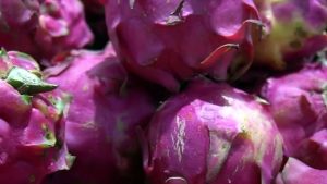 Photographing delicious looking dragon fruit. 藤野孝紘