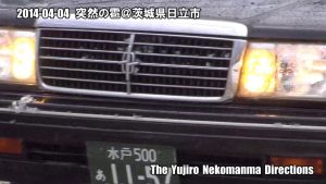 突然、雹が降ってきた