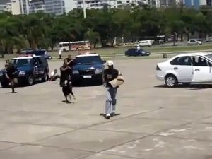 L'entrainement d'un chien policier