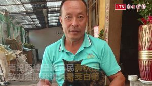 喵星人愛啃高價「美人腿」 主人淚訴：牠們很識貨(黃秋田提供)