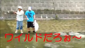 방사능국의장어 radioactivity unagi
