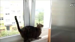 ◎카지노체험머니◁☎▨▷ ＹＡＭ ７７７.℃OM ◀▧↕카지노체험머니카지노체험머니카지노체험머니카지노체험머니카지노체험머니카지노체험머니카지노체험머니카지노체험머니