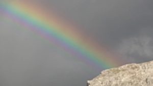 30 Healing Quotes for Inspiration and Encouragement