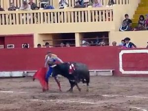 A Day at the Bull Fights