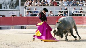 Arles 3-7-2021