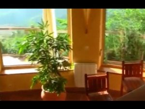 Holiday Villa for rent in Andalusia