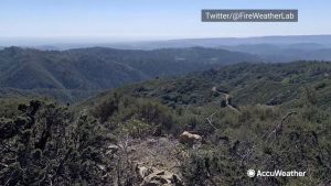 Dry vegetation offers troubling outlook for wildfire season