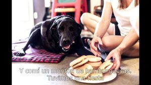 La historia de Duke - Naturaleza