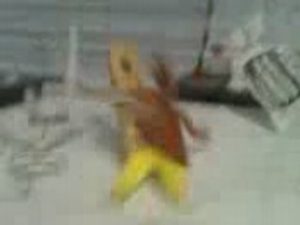 catch en papier (wwe_raw) sur dailymotion