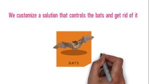 Bat Exterminator in Lansing, MI