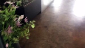 제주도 서귀포시 나인부티크 라운지