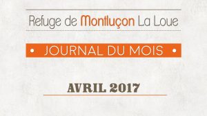 Un mois au refuge : avril 2017