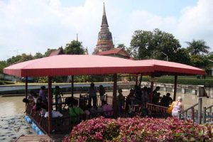 Turtle Fun at Wat Yai - Ayutthaya, Thailand