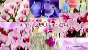 Record_20171126-103000