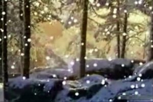 御名を呼ぶ時(最終)
