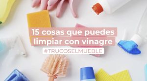 10 usos sorprendentes del VINAGRE para el cuidado de tus PLANTAS de interior