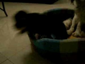 CLIP0804