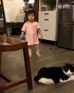 Une petite fille tombe par terre à cause du croche patte d'un chat !
