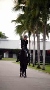 Michelle Mills X Sales horse