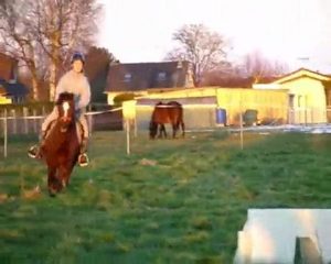 séance de saut