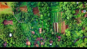 WE NEED NATURAL AND TECHNOLOGICAL SOLUTIONS TO BECOME A VERY SUSTAINABLE AND GREEN CIVILIZATION TO HINDER CATACLYSMIC CHANGES