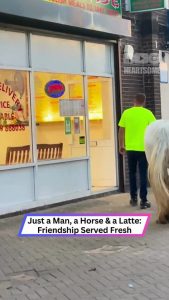 He Brought a Horse Into a Café—And Everyone Loved It!