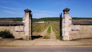 Clos de Vougeot - Côte d'Or - France