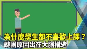 為什麼學生都不喜歡上課？謎團原因出在大腦構造