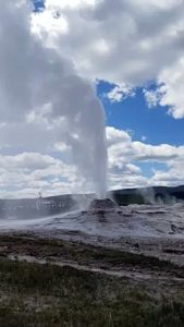 Daisy geyser